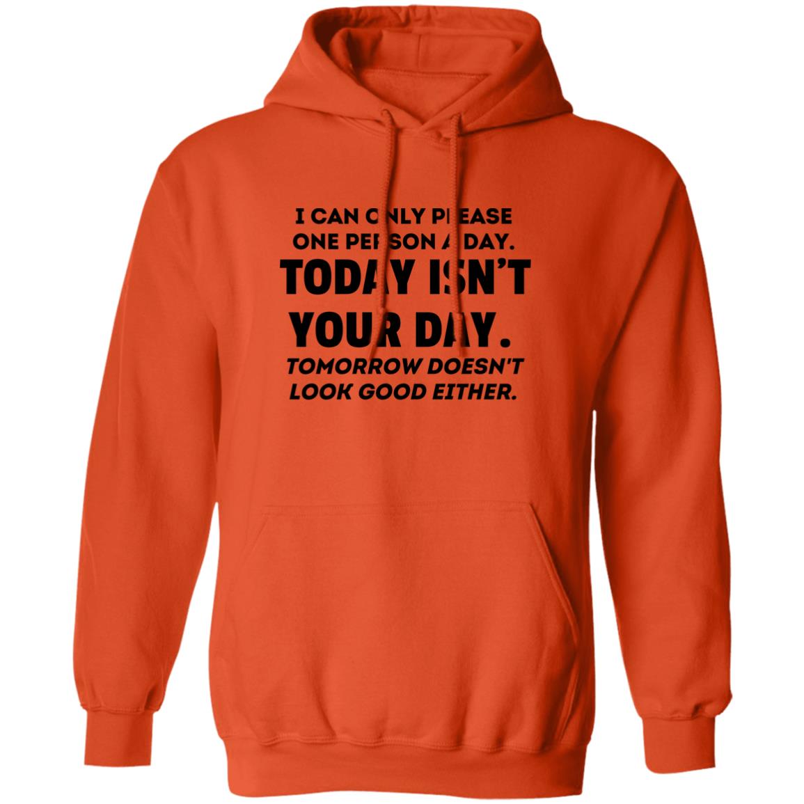 Can't Please Everyone Hoodie