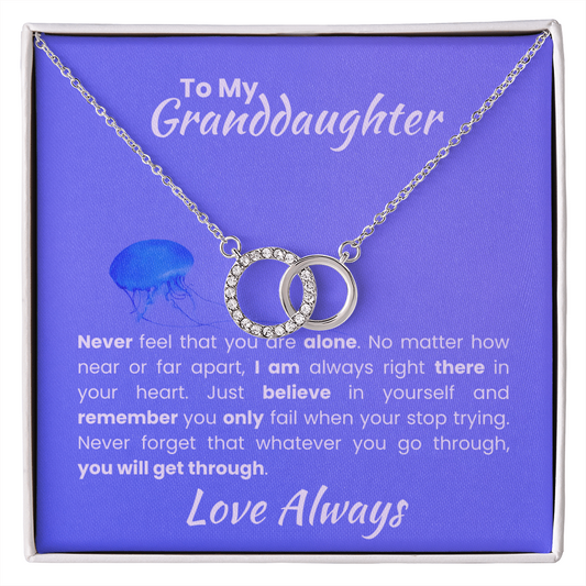 To My Granddaughter Believe in Yourself Perfect Pair Necklace